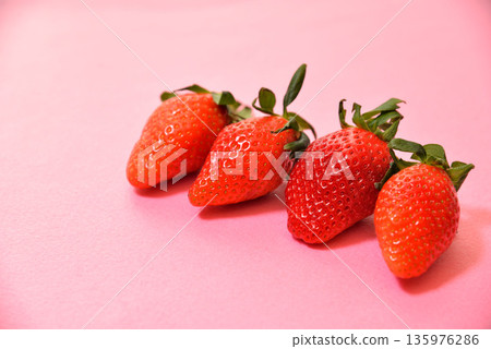 香甜可口的草莓(產自埼玉縣的彌生姬草莓) 香甜可口的草莓(產自埼玉縣的彌生姬草莓) 135976286