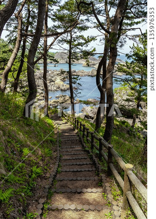 The fantastic scenery of the Tanesashi Coast and Yodo no Matsubara Promenade, which passes through the ancient pine forests of Sanriku Fukko National Park 135976353