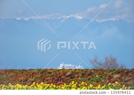 早春盛開的油菜花，泛著黃沙的琵琶湖，以及白雪皚皚的平山。 135976411