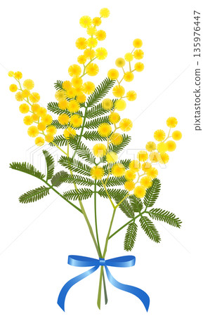 Mimosa bouquet (light blue ribbon) Mimosa bouquet (light blue ribbon) 135976447