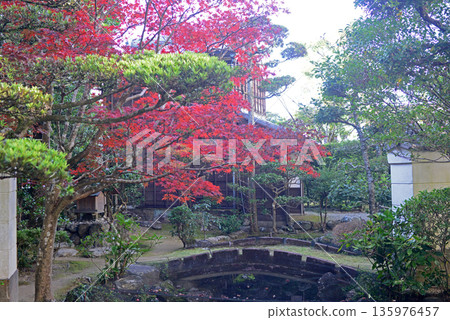 猿田彥神社內的寶池與秋葉景色 猿田彥神社內的寶池與秋葉景色 135976457