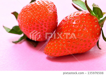 Sweet and delicious strawberries (Yayoihime from Saitama Prefecture) Sweet and delicious strawberries (Yayoihime from Saitama Prefecture) 135976508