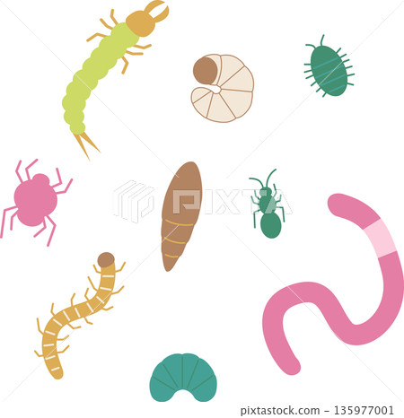 白色背景上的土壤昆蟲可愛插圖 白色背景上的土壤昆蟲可愛插圖 135977001