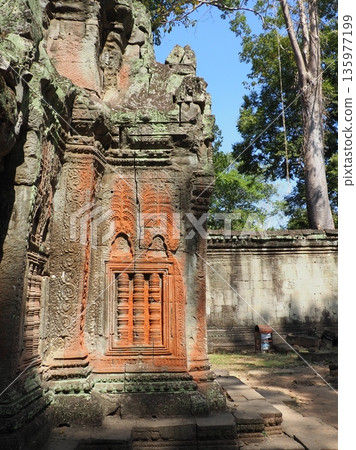 Cambodia Ta Prohm Ruins Cambodia Ta Prohm Ruins 135977199