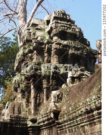柬埔寨塔普舞會遺址 柬埔寨塔普舞會遺址 135977202