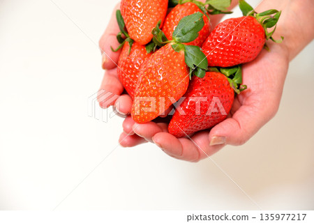 一把香甜的草莓（來自埼玉縣的彌生姬） 135977217