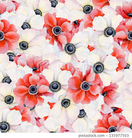 Floral blooming meadow seamless pattern with watercolor red and white anemones. Spring field poppies repeat background. Hand drawn floral wallpaper or fabric print in romantic botanical style 135977503