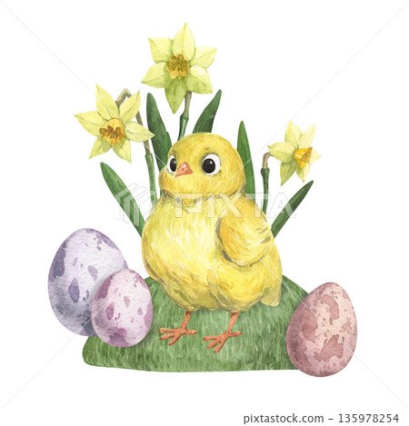 Watercolor illustration of a cute yellow chick on a lawn Watercolor illustration of a cute yellow chick on a lawn 135978254
