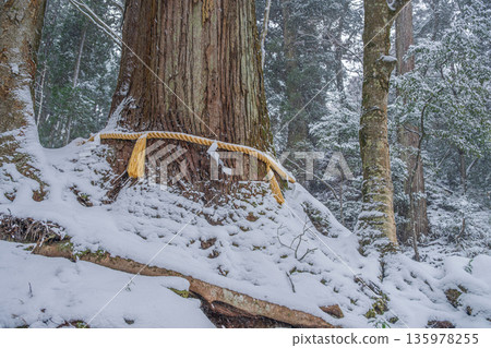 京都貴船:雪與相生杉的聖地 京都貴船:雪與相生杉的聖地 135978255