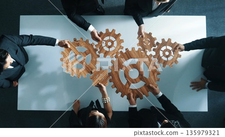 Top view of business team bring filled last cog to complete system. Directorate. 135979321