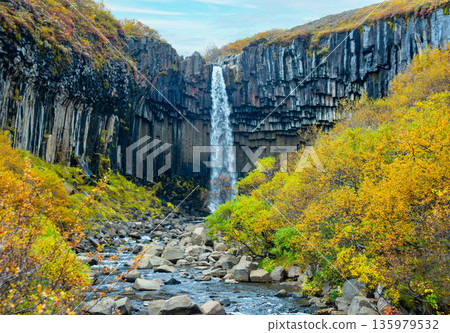 Svartifoss waterfall cascades down dramatic basalt columns in Iceland. Surrounded by vibrant autumn colors, it showcases the unique geology of the area. Svartifoss waterfall cascades down dramatic basalt columns in Iceland. Surrounded by vibrant autumn colors, it showcases the unique geology of the area. 135979532