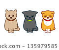 Illustration set of three cats wearing collars 135979585