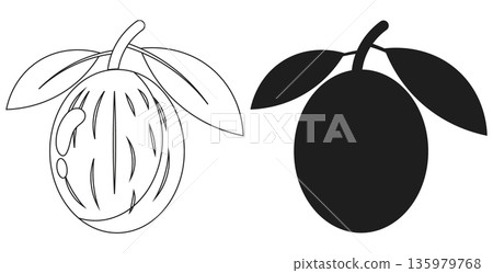 Outline and silhouette of a yellow plum or apricot with leaves, simple vector art Outline and silhouette of a yellow plum or apricot with leaves, simple vector art 135979768