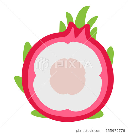 Cross-section of a pink dragon fruit with white flesh and pale center, flat illustration Cross-section of a pink dragon fruit with white flesh and pale center, flat illustration 135979776