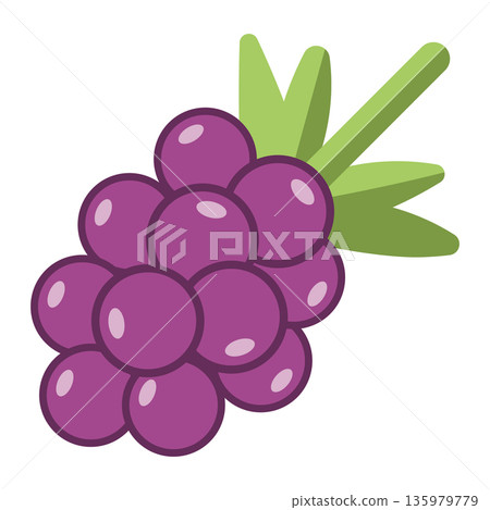 Sweet Purple Grapes Bunch with Green Leaves Flat Design Vector Illustration on White Background Sweet Purple Grapes Bunch with Green Leaves Flat Design Vector Illustration on White Background 135979779