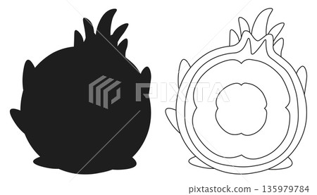 Dragon Fruit Round Form Outline and Silhouette Icon Set for Minimalist Design Concepts Dragon Fruit Round Form Outline and Silhouette Icon Set for Minimalist Design Concepts 135979784