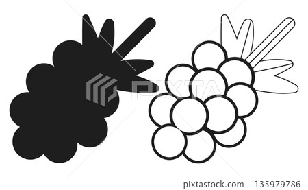 Grapes Bunch Outline and Silhouette Vector Icons Set for Vineyard and Food Related Designs Grapes Bunch Outline and Silhouette Vector Icons Set for Vineyard and Food Related Designs 135979786