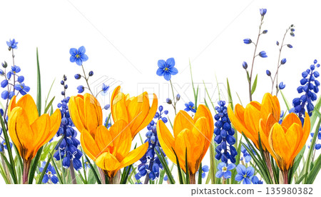 Vibrant flowers stand out in a frame made of colorful spring blossoms and green foliage against a white background. 135980382