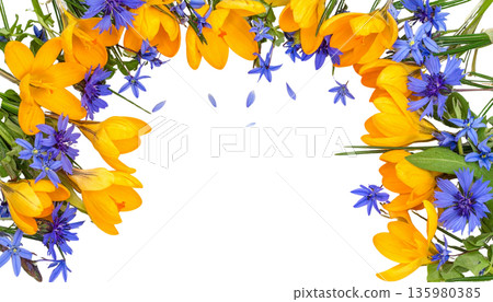 Vibrant flowers stand out in a frame made of colorful spring blossoms and green foliage against a white background. 135980385