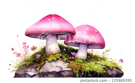 mushrooms isolated on white background 135980395