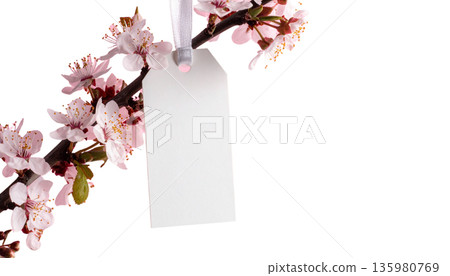 Pink cherry blossom branches in full bloom create a beautiful natural spring landscape, adorned with cherry blossom patterns against a white background. 135980769
