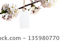 Pink cherry blossom branches in full bloom create a beautiful natural spring landscape, adorned with cherry blossom patterns against a white background. 135980770