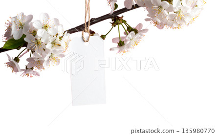 Pink cherry blossom branches in full bloom create a beautiful natural spring landscape, adorned with cherry blossom patterns against a white background. 135980770