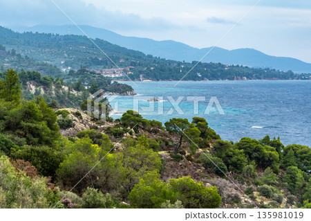 beautiful tropical sea and beach with blue sky. Coastal view of a green landscape by the sea during a cloudy day in Greece 135981019