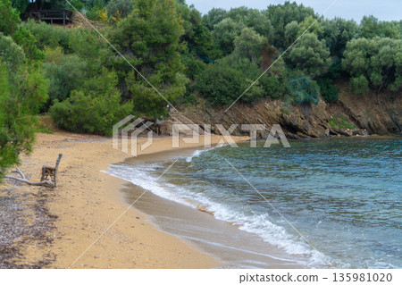 a small fishing boat on the beach. Sandy beach with gentle waves and green trees near a rocky shore in a calm location during the daytime 135981020