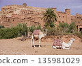 Animals in Ait Benhaddou @Morocco 135981029