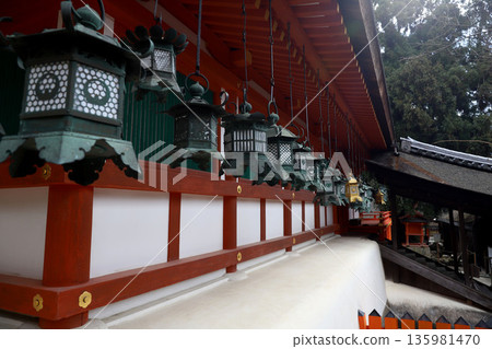 奈良縣奈良市春日野町春日大社 135981470