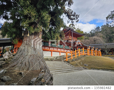 奈良縣奈良市春日野町春日大社 奈良縣奈良市春日野町春日大社 135981482