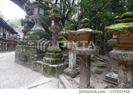 Kasuga Taisha Shrine, Kasugano-cho, Nara City, Nara Prefecture Kasuga Taisha Shrine, Kasugano-cho, Nara City, Nara Prefecture 135981489