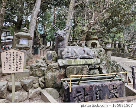 奈良縣奈良市春日野町春日大社 奈良縣奈良市春日野町春日大社 135981507