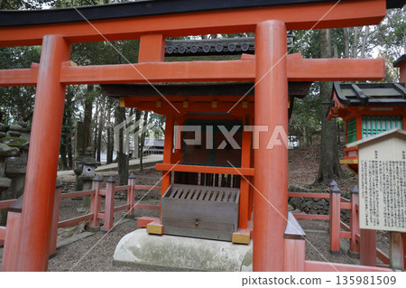 奈良縣奈良市春日野町春日大社 奈良縣奈良市春日野町春日大社 135981509