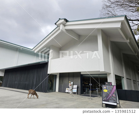 奈良縣奈良市春日野町春日大社 奈良縣奈良市春日野町春日大社 135981512