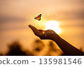 Butterfly Resting on Finger Tip Against Golden Sunset Sky. Butterfly resting finger tip hand touch freedom inspiration nature concept hope serenity golden sunset sunrise silhouette sky background anim 135981546