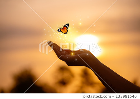 Butterfly Resting on Finger Tip Against Golden Sunset Sky. Butterfly resting finger tip hand touch freedom inspiration nature concept hope serenity golden sunset sunrise silhouette sky background anim Butterfly Resting on Finger Tip Against Golden Sunset Sky. Butterfly resting finger tip hand touch freedom inspiration nature concept hope serenity golden sunset sunrise silhouette sky background anim 135981546