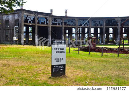 Bungo森林系列 135981577