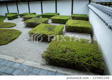 Tofukuji Temple, Kyoto Prefecture, Honbo Garden - Image of a Japanese garden Tofukuji Temple, Kyoto Prefecture, Honbo Garden - Image of a Japanese garden 135982208