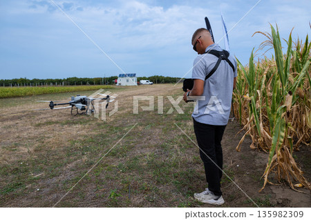 Drone Pilot Checks Camera Drone in a Cornfield for Agricultural Aerial Filming and Farming Operations 135982309