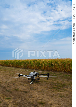 Agricultural drone hovering over a cornfield under a blue sky for field inspection 135982311