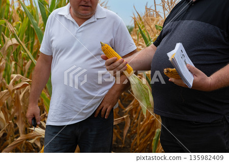 Two men in a cornfield inspect corn ears while one holds papers and talks about harvest planning Two men in a cornfield inspect corn ears while one holds papers and talks about harvest planning 135982409