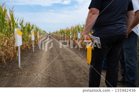 Field inspection scene with corn rows, signs, and workers holding notebook and corn cob Field inspection scene with corn rows, signs, and workers holding notebook and corn cob 135982436