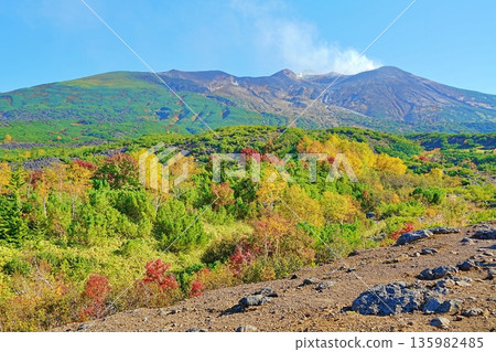 從十勝岳菩提台可欣賞壯麗的景色。 從十勝岳菩提台可欣賞壯麗的景色。 135982485