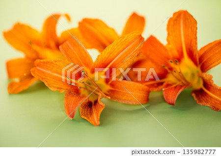 Beautiful bouquet of orange lilies on green background Beautiful bouquet of orange lilies on green background 135982777
