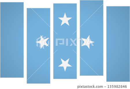 Flag of Micronesia. Flag with a design featuring vertical panels in a modular perspective Flag of Micronesia. Flag with a design featuring vertical panels in a modular perspective 135982846