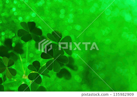 Shamrocks growing with glittering green bokeh background celebrating st patrick's day Shamrocks growing with glittering green bokeh background celebrating st patrick's day 135982909
