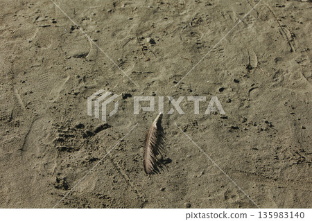 Abstract close-up of sand ripples on a beach in Vlora, Albania, captured on August 2025. Warm sunset light creates soft golden highlights and contrasting shadows, forming natural patterns Abstract close-up of sand ripples on a beach in Vlora, Albania, captured on August 2025. Warm sunset light creates soft golden highlights and contrasting shadows, forming natural patterns 135983140