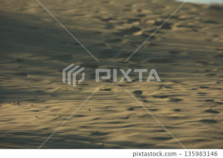 Abstract close-up of sand ripples on a beach in Vlora, Albania, captured on August 2025. Warm sunset light creates soft golden highlights and contrasting shadows, forming natural patterns Abstract close-up of sand ripples on a beach in Vlora, Albania, captured on August 2025. Warm sunset light creates soft golden highlights and contrasting shadows, forming natural patterns 135983146